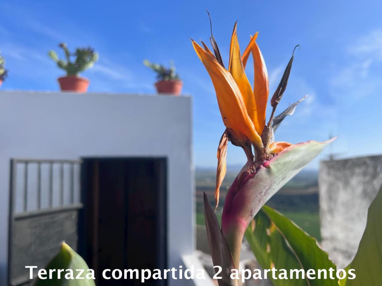 Апартаменты Casa Abades Аркос де ла Фронтера Экстерьер фото